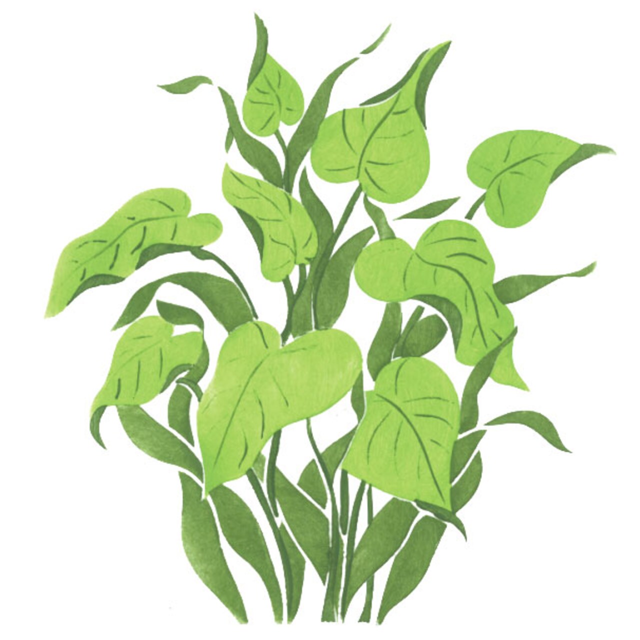 Green Tropical Plant Wall Stencil | 1737 by Designer Stencils | Animal & Nature Stencils | Reusable Art Craft Stencils for Painting on Walls, Canvas, Wood | Reusable Plastic Paint Stencil for Home Makeover | Easy to Use & Clean Art Stencil